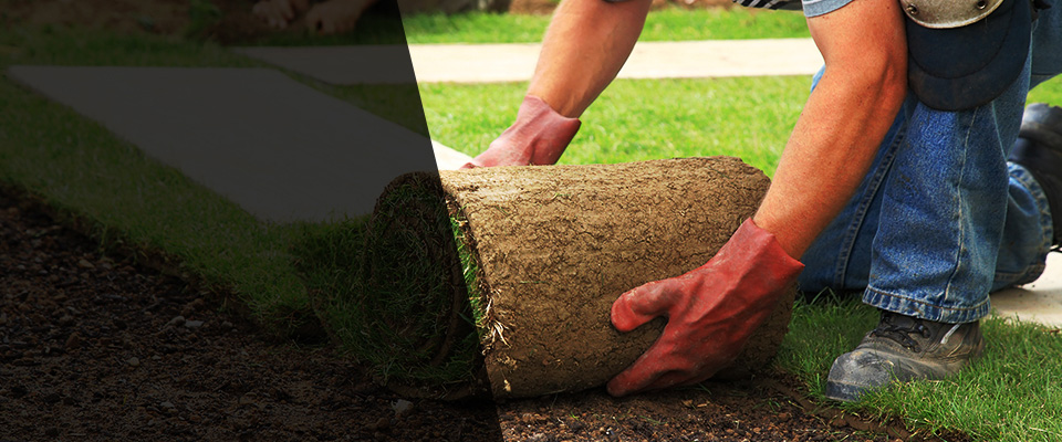 Glendora Landscapers